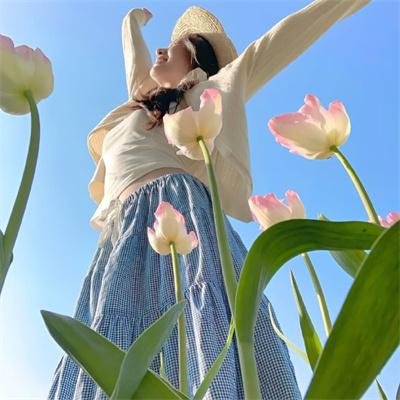 初音岛封面